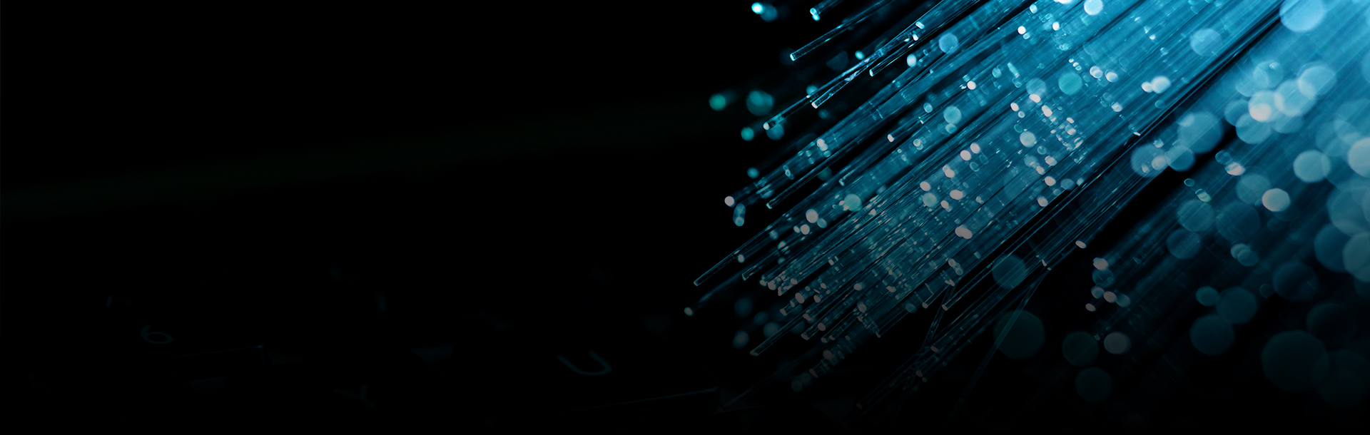 Information Technology Services